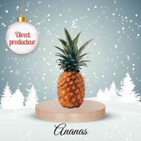 Ananas