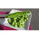 PETITS POIS FRAIS  1kg